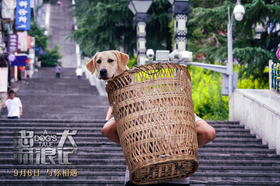 忠犬流浪记A Dog’s Tale(2021)插图1%4K电影下载_3D影视资源_杜比视界迅雷下载